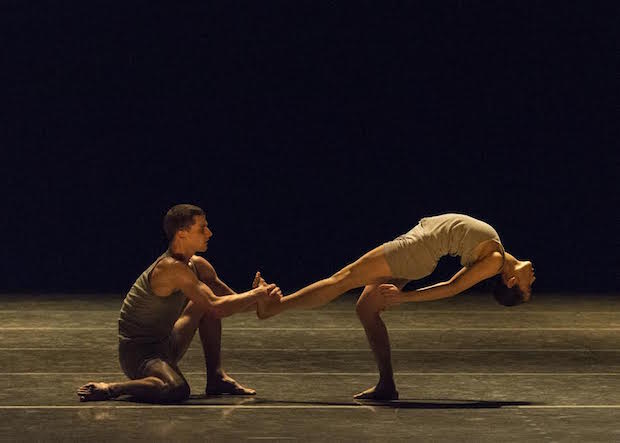 José Manuel Carreño (Silicon Valley Ballet): "No descarto dirigir el Ballet Nacional de Cuba"