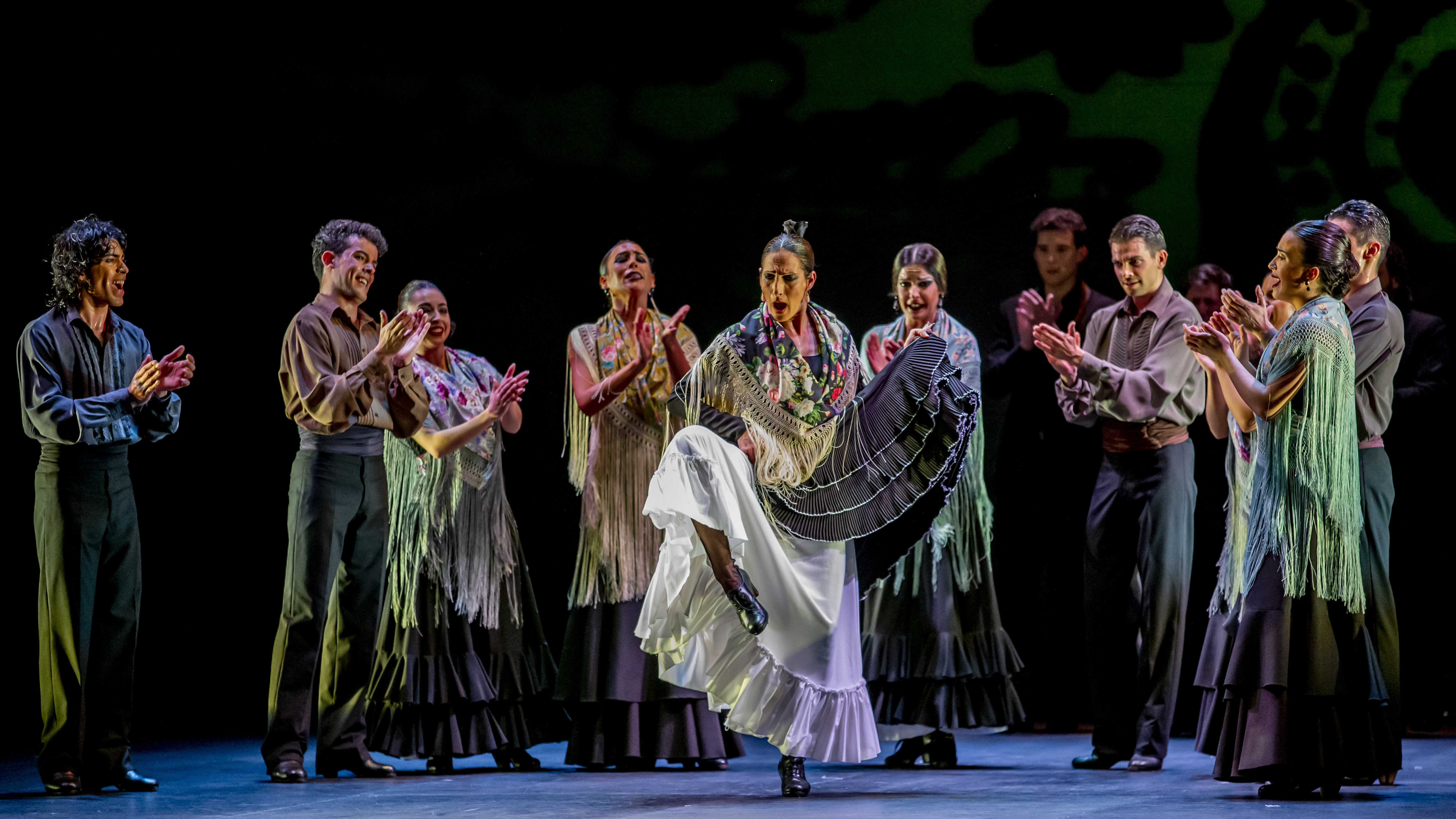 El Ballet Flamenco de Andalucía en acción