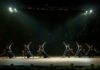 Fotografía de un momento de la coreografía "Libertango" Foto: © Rosen Donev